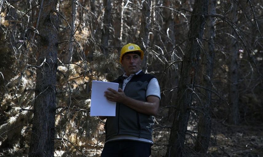 Erzurum Ormanlarında Yangın Öncesi Tedbirler Alınıyor