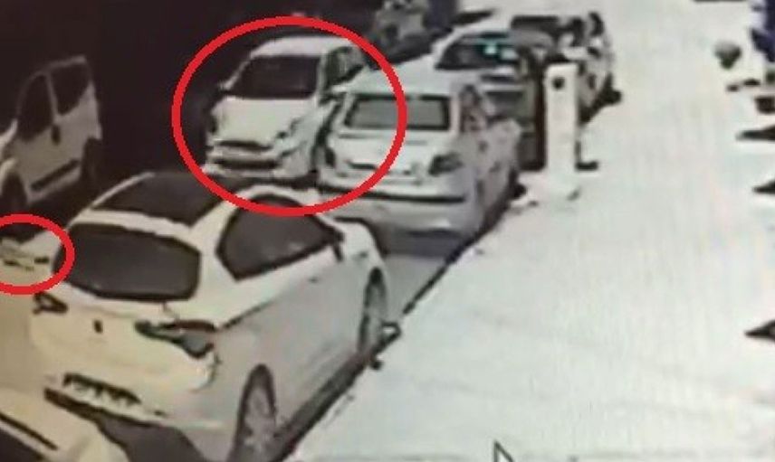 Eskişehir'de Kediyi Ezip Kaçan Sürücü İçin Kasıtlı Değil Kararı Çıktı
