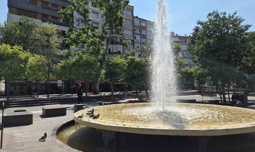 Eskişehir’de kuşlar süs havuzunda serinliyor