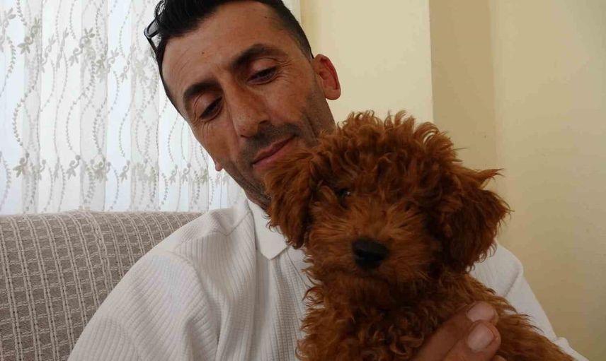 Antalya'da otobüs şoförünün dikkatini çeken ilginç yolcu: Canlı köpek