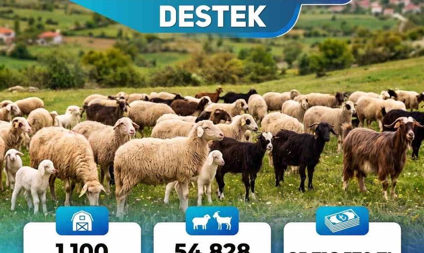 Denizli'deki çiftçilere 25,7 milyon liralık destek paketi