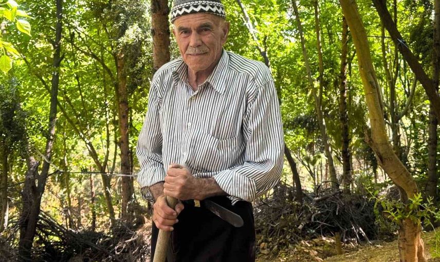 78 yaşındaki adam 31 yılda 25 bin ağaç dikerek kurak araziyi yeşil alan haline getirdi