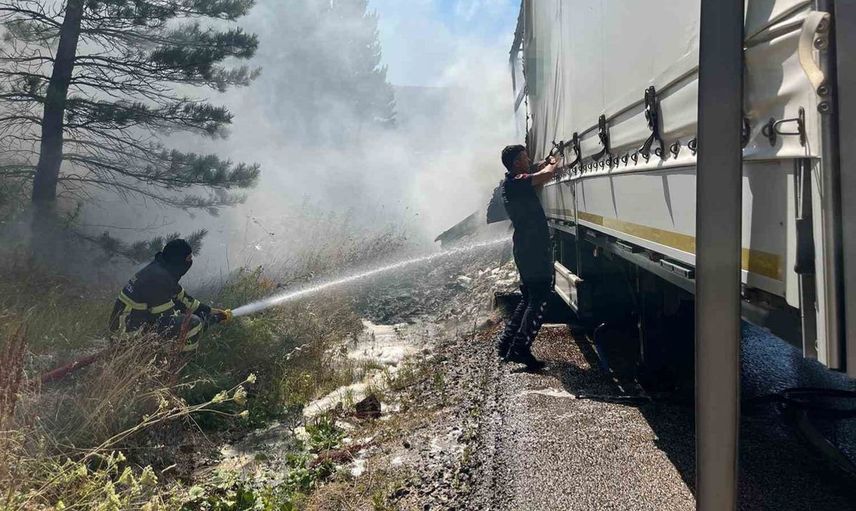 Bolu'da şeker yüklü tırda çıkan yangın ormanı tehdit etti