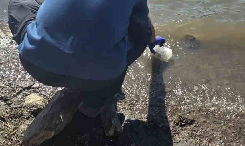 Çanakkale'deki Atikhisar Barajı'nda balık ölümleri sonrası inceleme başlatıldı