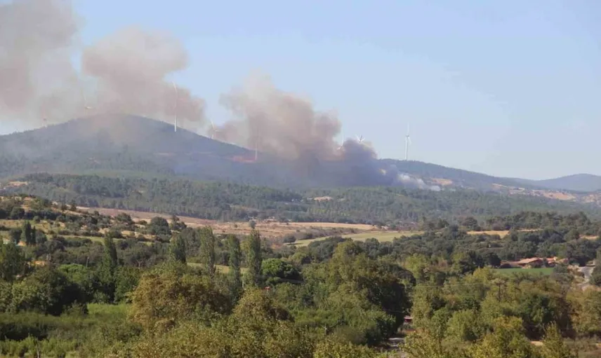 Bayramiç’te orman yangınına hızlı müdahale