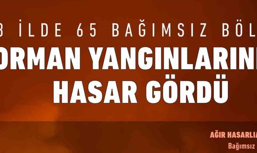 Bakan Kurum: Antalya, Muğla ve Balıkesir'de yangınlarda 65 bağımsız bölüm ağır hasar aldı