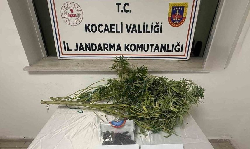 Kocaeli'de uyuşturucu operasyonu: 1 kilo esrar ve metamfetamin ele geçirildi