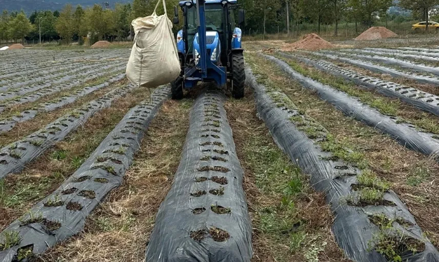 Kadınların emeğiyle doğal ürünler markaya dönüşüyor