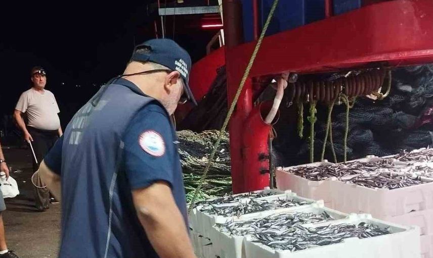 Didim'de hamsi avcılığına yönelik denetimler devam ediyor