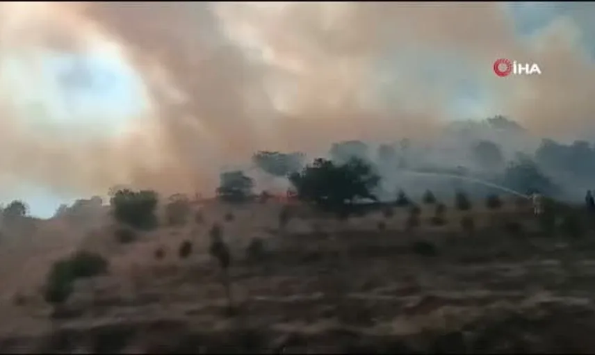 Bozüyük'te orman yangınına hızlı müdahale: Ekipler kontrol altına aldı