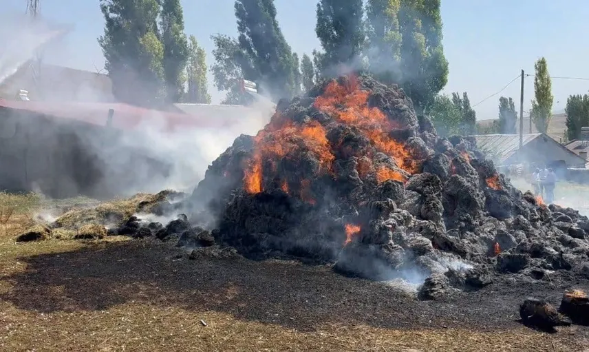 Kars'ta çiftçinin emeği yangında tükendi