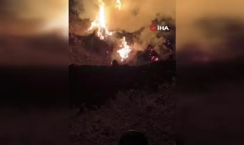 Yüksekova'daki yangında büyük hasar: 5 bin bağ ot kül oldu