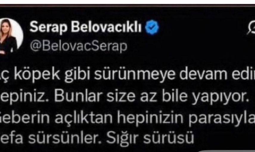 Gazeteci serap belovacıklı hakkında başlatılan soruşturmanın detayları