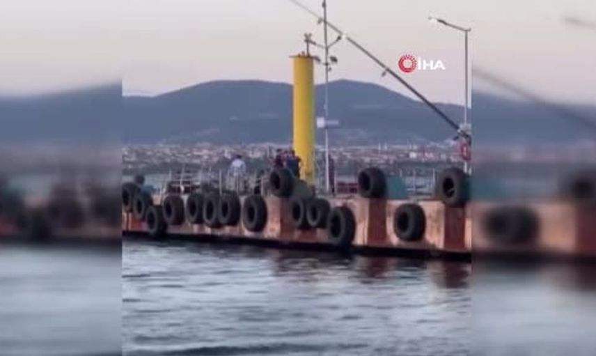 Kocaeli'de denizde erkek cesedi bulundu: Olayla ilgili inceleme başlatıldı