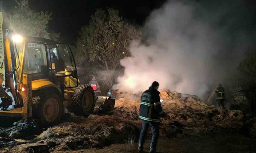 Bademli köyündeki besihanede çıkan yangın hayvanları vurdu