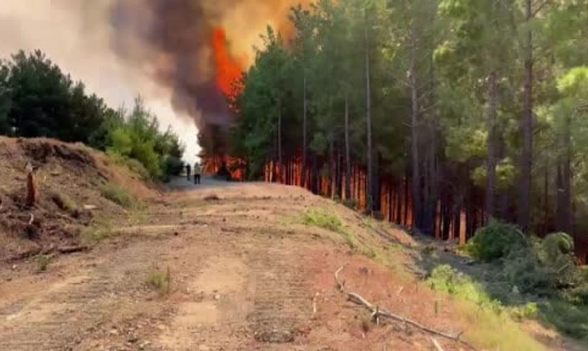 Muğla'da yangınla mücadele sürüyor