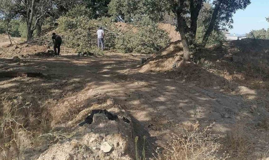 Adramytteion kazı alanında ağaç kesim kararı: Kazı çalışmaları için alan genişletilecek