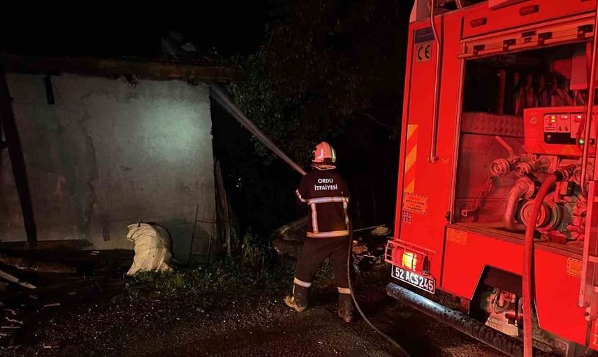 Kumru'da ahır yangını felaketine tanıklık: 1 buzağı hayatını kaybetti
