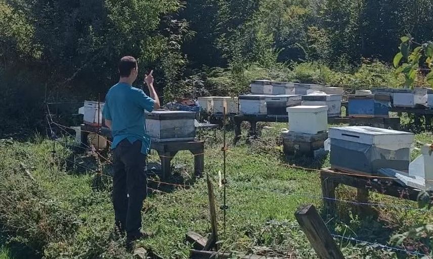 Yığılca'da arıcılık için kovan sayımı yapıldı