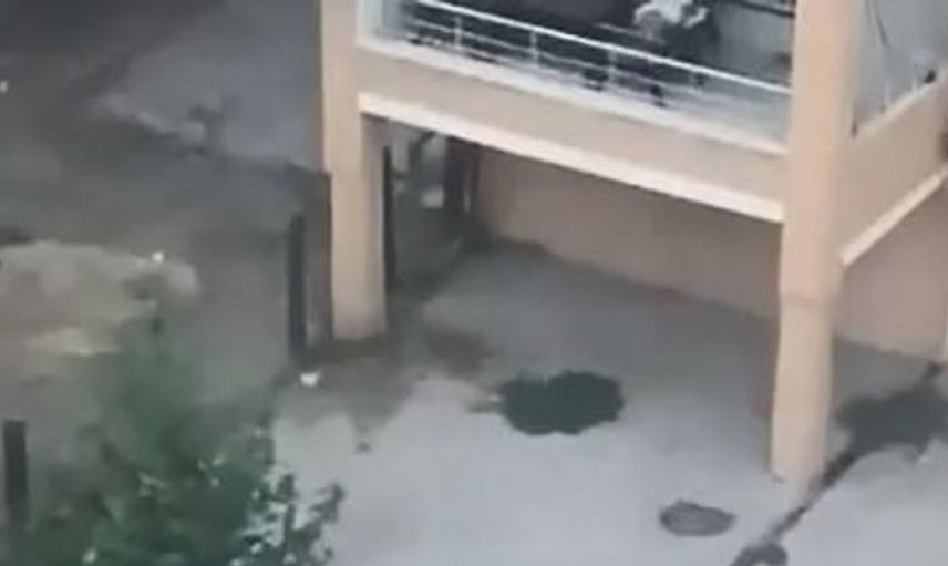 Elazığ'da gençler bir kişiyi darp etti: O anlar kamerada