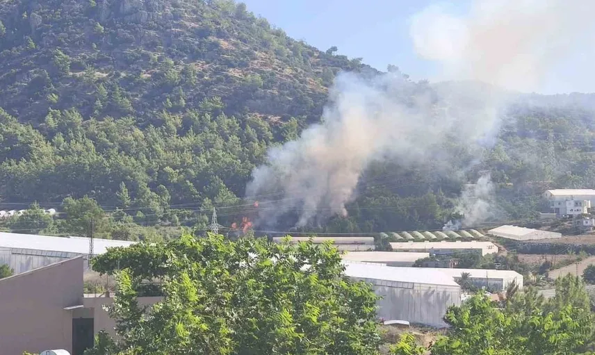 Bozyazı'da çıkan orman yangını hızla kontrol altına alındı