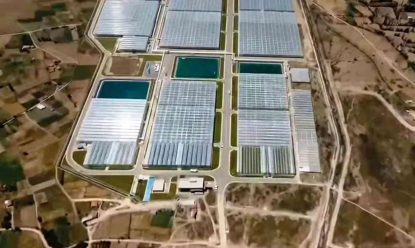 Simav'da jeotermal enerjiyle tarıma yeni soluk: Organize tarım bölgesi üretime başladı