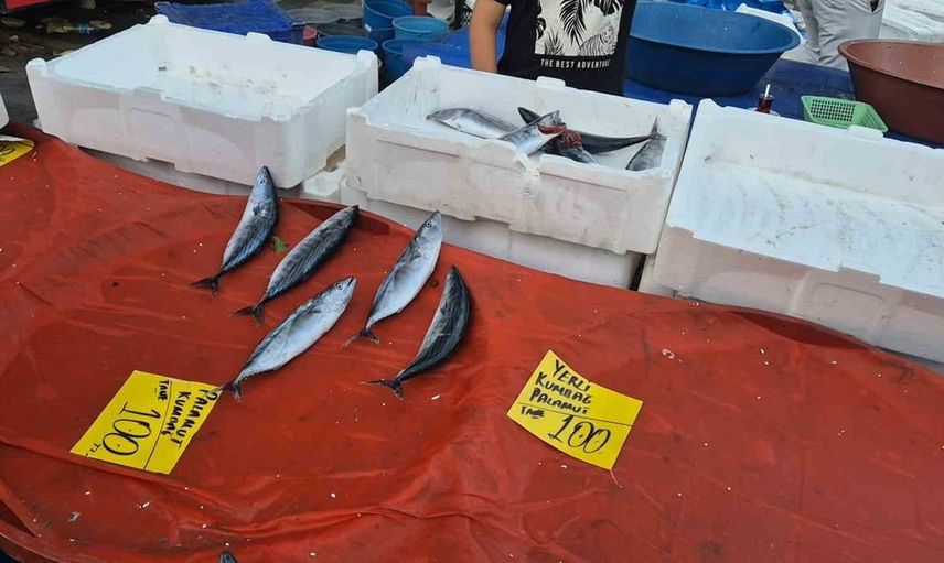 Fırtına engel olamadı: Palamut fiyatları düşerek dikkat çekti
