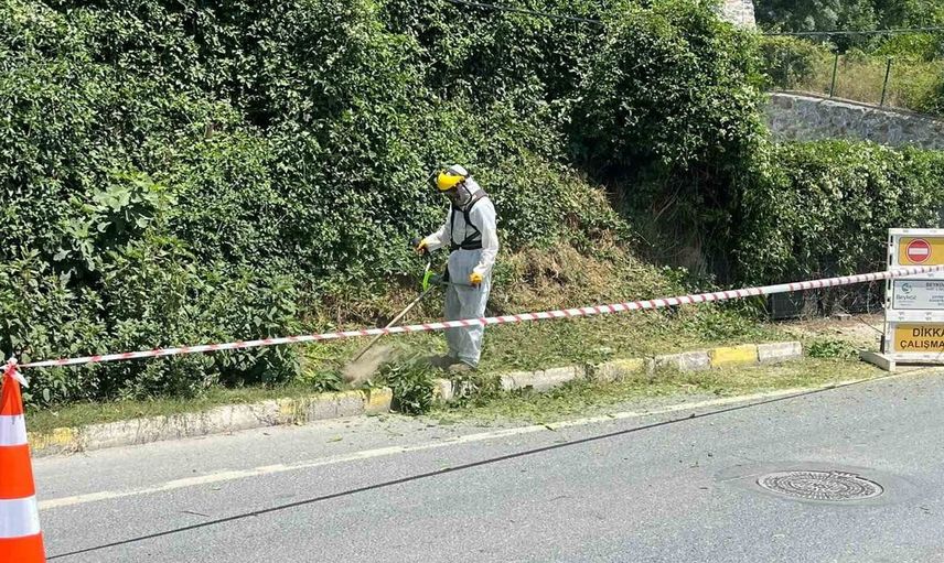 Beykoz'da uzayan otlar İstanbul Büyükşehir Belediyesi'nin sorumluluğunda