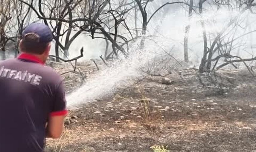 Bingöl'deki yangında itfaiye ekipleri kaplumbağayı kurtardı