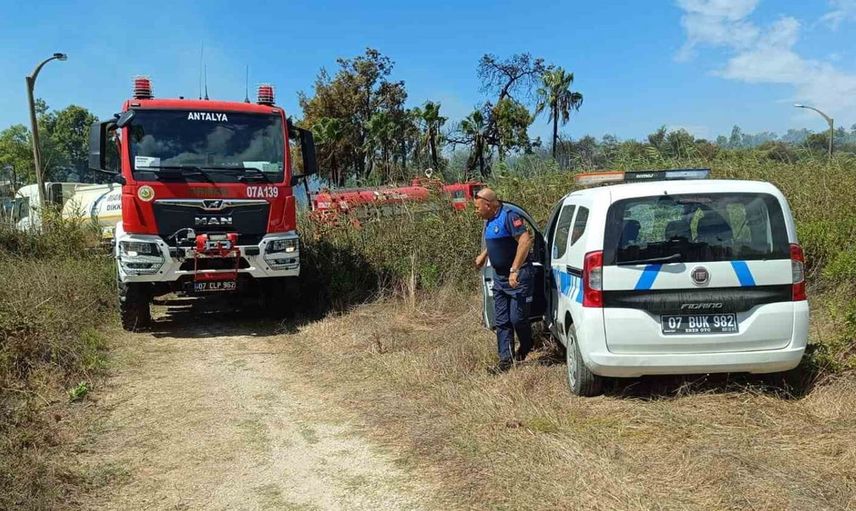 Manavgat'ta boğaz mendirek yolunda çıkan yangın paniğe neden oldu