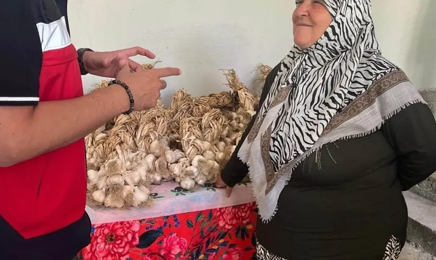 Domaniç’te organik tarım projesi ile sarımsak üreticilerine destek