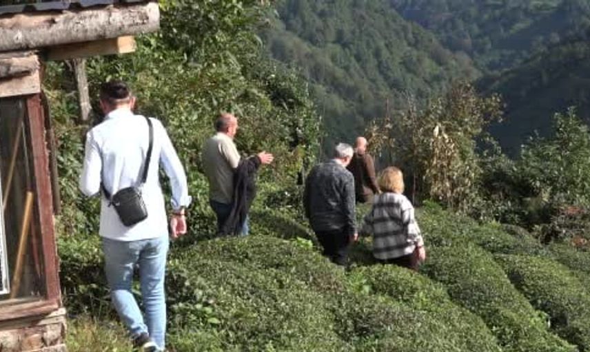 Çayeli’nin kültürel mirası geleceğe taşınıyor: Bilimsel çalışmalar başladı
