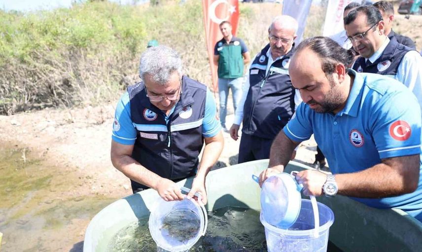 Çanakkale'de Atikhisar Barajı'na 348 bin sazan balığı yavrusu salındı