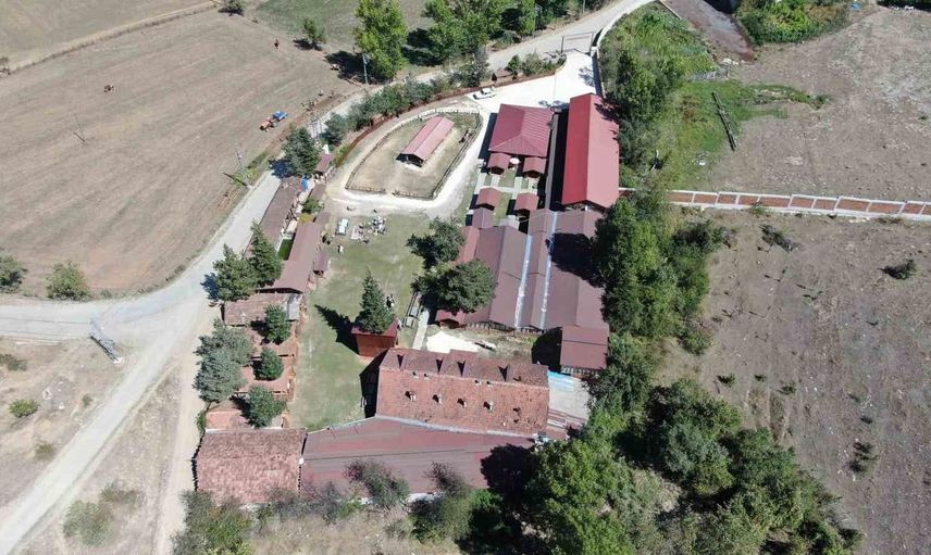 Kastamonu'da kadınlar kış hazırlıklarına başladı: Elmalar pekmeze dönüşüyor