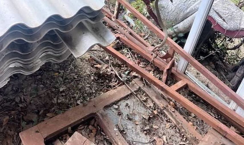 Antakya'da bahçede bulunan yılan güvenli bir şekilde doğaya geri salındı