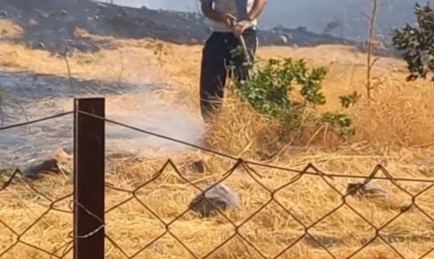 Batman'da elektrik kıvılcımları yangın çıkardı: 10 arı kovanı kül oldu
