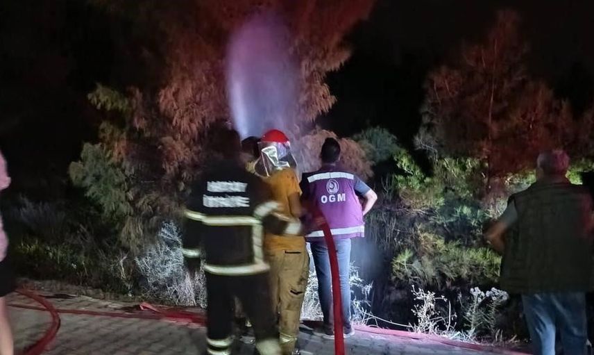 Havai fişek nedeniyle ormanlık alanda yangın çıktı