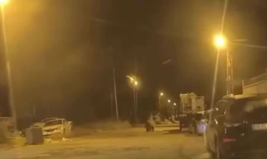 Saraydüzü'nde ayı sokaklarda gezinince ilginç görüntüler kaydedildi
