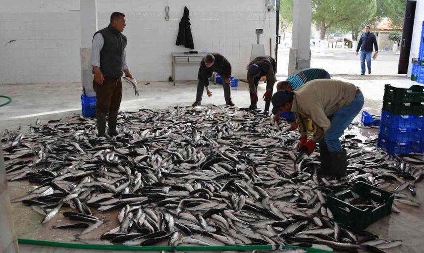 Muğla'nın ihracatı 1 milyar doları aştı, Ege'nin lideri oldu