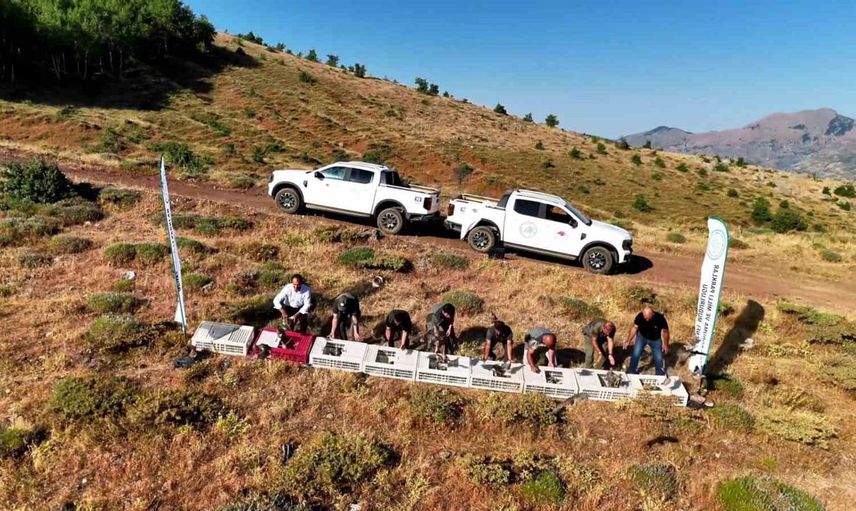 Diyarbakır'da keneye karşı doğal mücadele için kınalı keklik salımı yapıldı