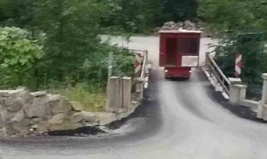Karadeniz'in azmi: Zorlu yokuşu geri geri geçerek konteyneri köye taşıdı