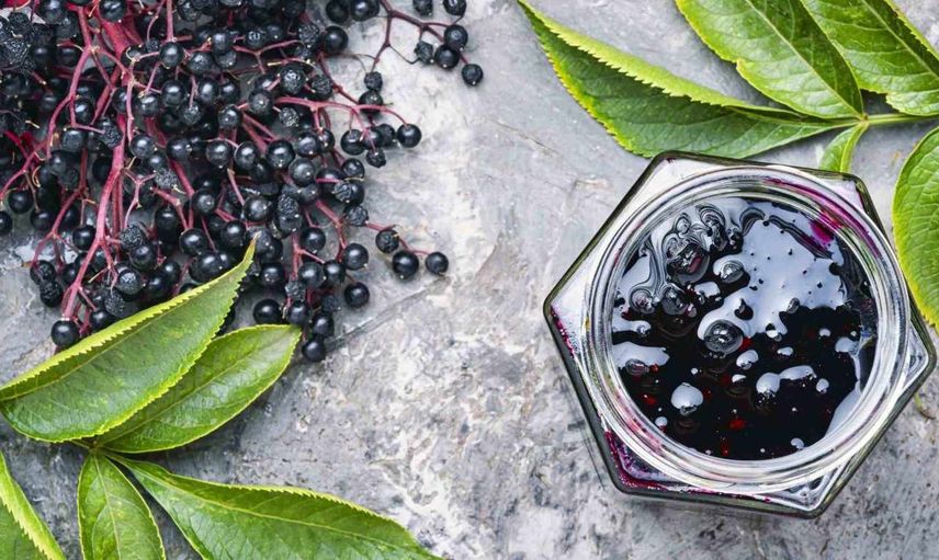 Faydaları saymakla bitmeyen kara mürver çayı nasıl yapılır, nelere iyi gelir? Kara mürver çayında bulunan vitamin ve mineraller