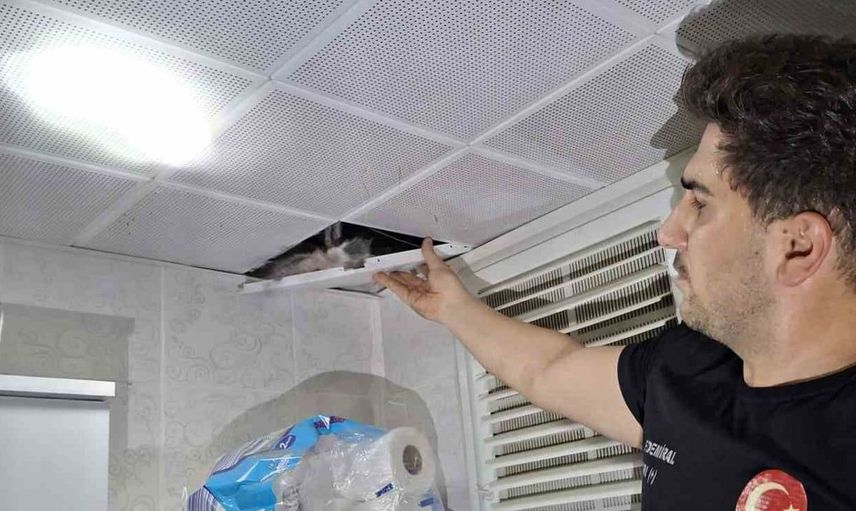 Batman'da asma tavanda sıkışan güvercinler itfaiye tarafından kurtarıldı