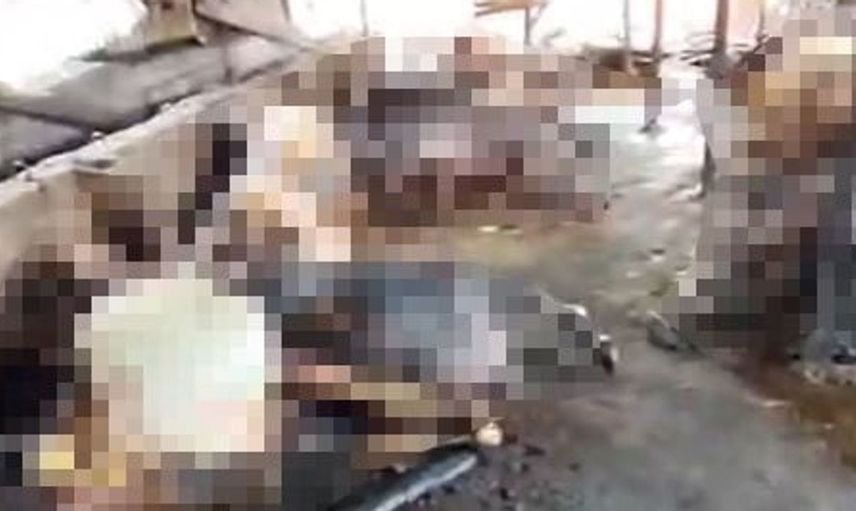 Silivri'de ahır yangını büyük kayıplara yol açtı: 24 hayvan telef oldu