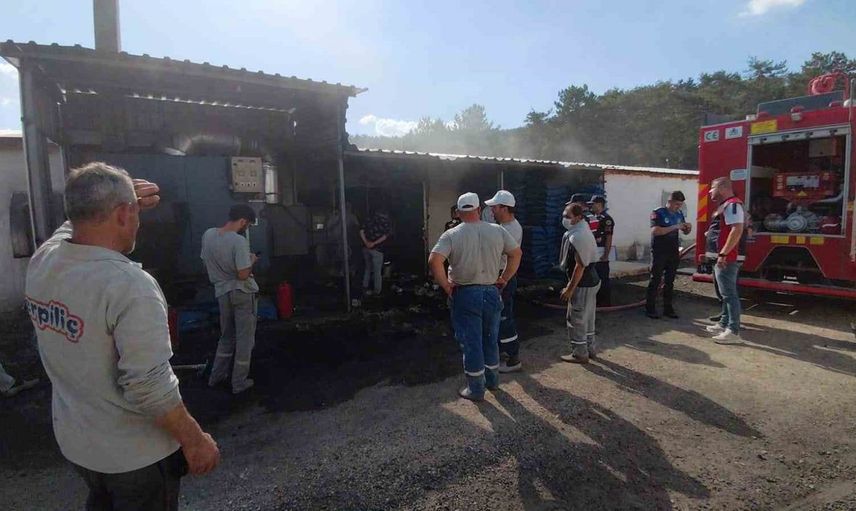 Bolu'da Erpiliç kümeslerinde çıkan yangın itfaiyeyi alarma geçirdi