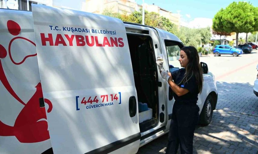 Kuşadası'nda haybulans hizmetiyle sokak hayvanlarına umut oluyor