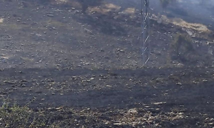 Siirt'te mera yangını: 50 dönümlük alan kül oldu