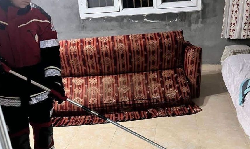 Samandağ'da görülen yılan güvenle doğal yaşam alanına bırakıldı