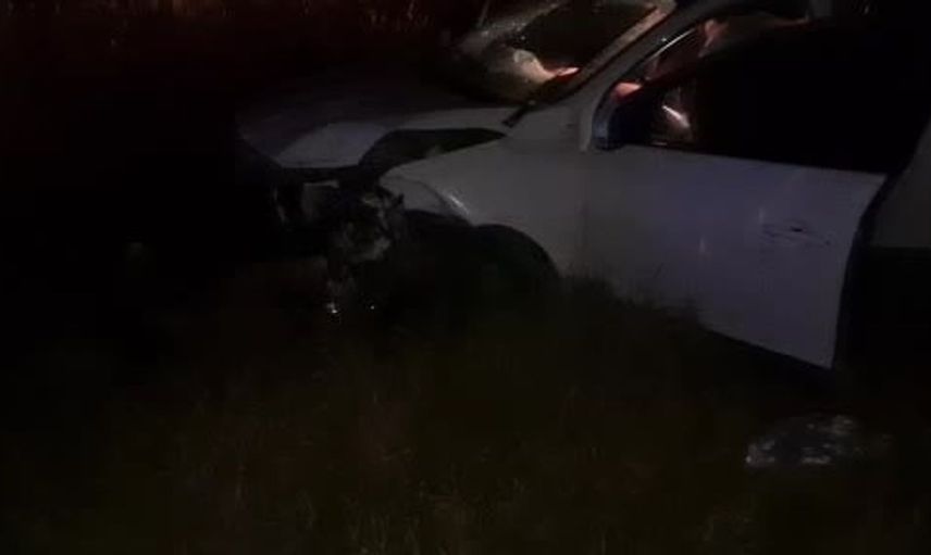 Zonguldak’ta kontrolden çıkan otomobil araziye uçtu: 4 yaralı