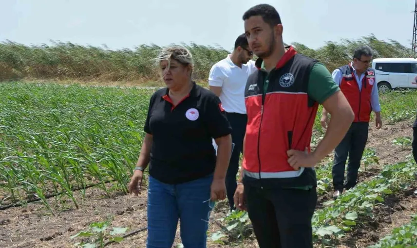 Hatay'da tarım projeleri kapsamında tohum kontrolü yapıldı